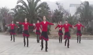 广场舞之最炫民族风 广场舞之最炫民族风