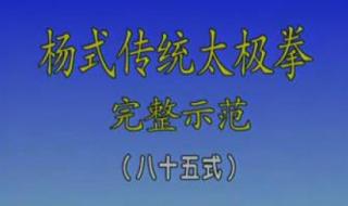 杨式太极拳85式