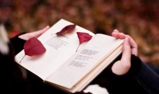 我的好朋友作文