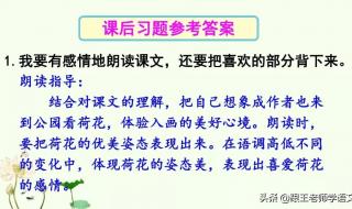 荷花课文三年级下册 荷花课文三年级下册