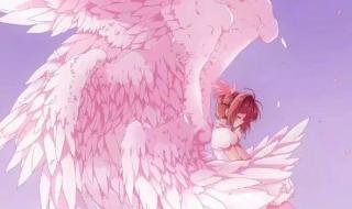 百变小樱魔术卡图片 百变小樱魔术卡图片