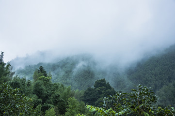 211985会计专硕有哪些学校 会计专硕学校中有哪些是211 985院校的